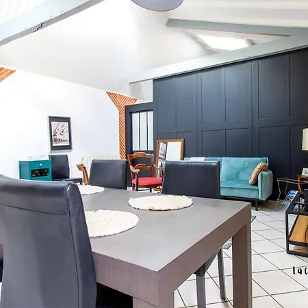 شقة Loft Bernard Castanet ألبي