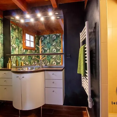 Apartamento Loft Bernard Castanet *